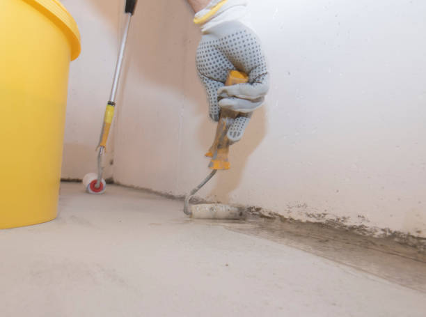 Best Pest Control for Warehouses  in Scow Mills, MO